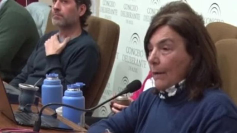 Los concejales Laurini y Santillán, autores de la iniciativa que requiere la pronta aprobación de la Ley de Ética Pública.  CAPTURA DE VIDEO