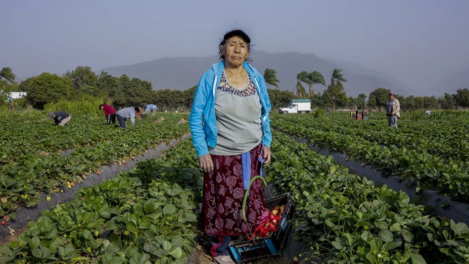 Una de cada cinco pymes del sector primario es liderada por mujeres rurales