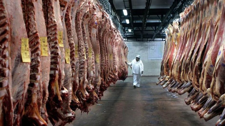 Las exportaciones de carne vacuna correspondientes a agosto de 2023, mostraron un aumento de 16,1 puntos porcentuales, respecto de igual mes de 2022.