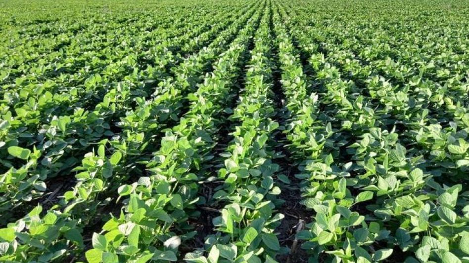 En Santa Fe se inició el implante de la soja temprana con una intención de siembra de 1.050.000 hectáreas en la región.