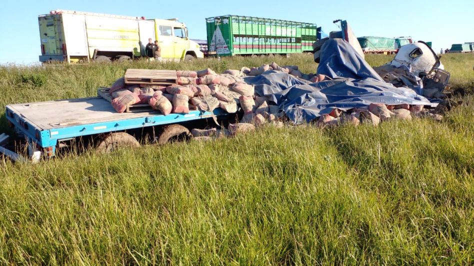 Camión se despistó y volcó: un transportista y su hijo resultaron heridos