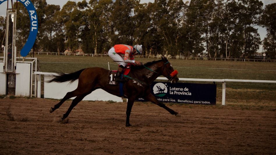 Fennan Boy es el campeón de la Triple Corona Cervantina. Foto ARCHIVO - GENTILEZA HÍPICO LOCA