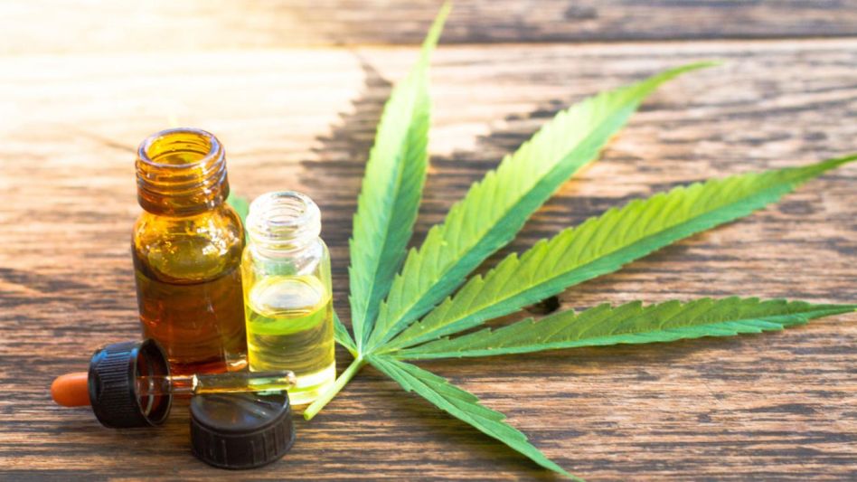 La ANMAT autorizó la comercialización del primer aceite de cannabis argentino