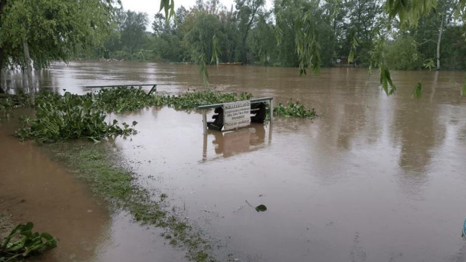 Según un especialista, El Niño en el verano recuperará vigor y en el otoño traerá riesgo de inundaciones. INFOCAMPO