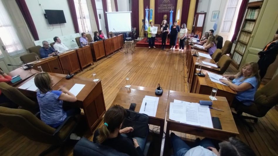 Alumnos y docentes del Instituto Palmiro Bogliano presentaron un trabajo de investigación en el Concejo Deliberante
