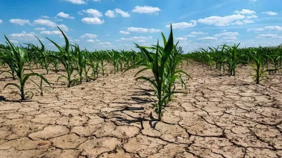 Productores afectados por la sequía podrán   acceder a beneficios del Gobierno Nacional