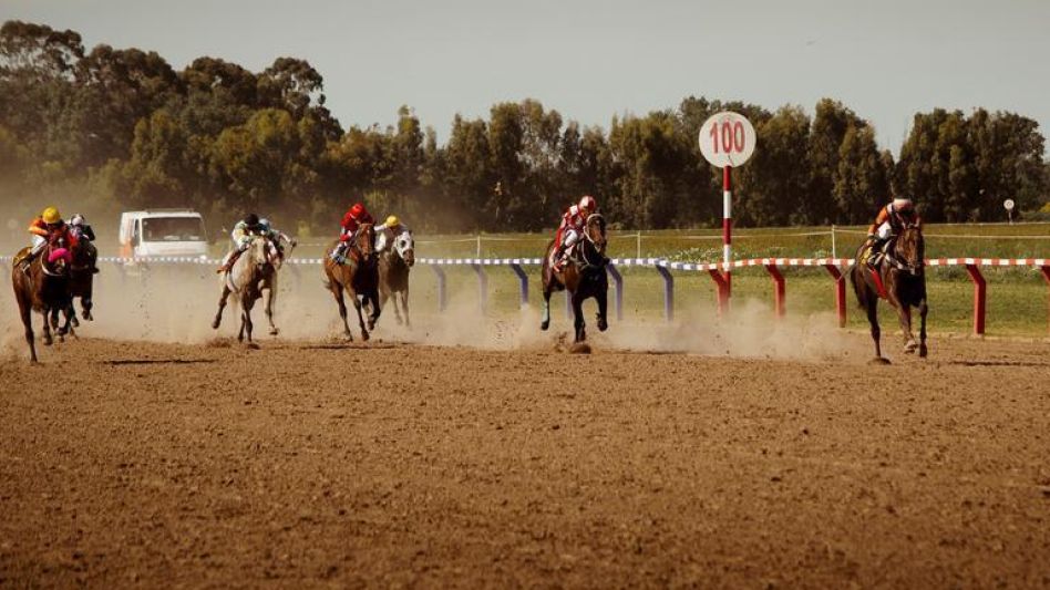 Serán 96 los caballos pura sangre que estarán participando el domingo en la última reunión del año en el circo hípico local. ARCHIVO