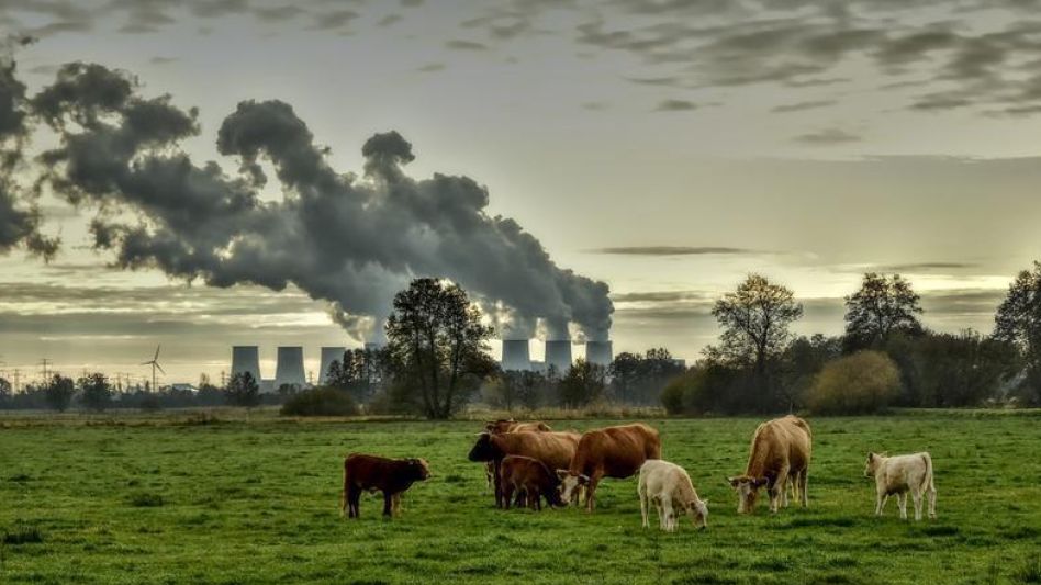 La ganadería y el cambio climático