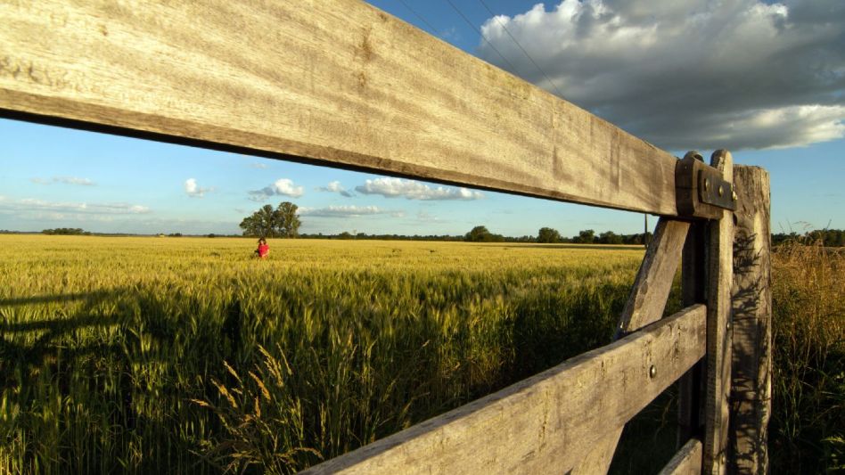 Inmobiliario Rural: habrá una cuota extra para los campos de mayor valuación