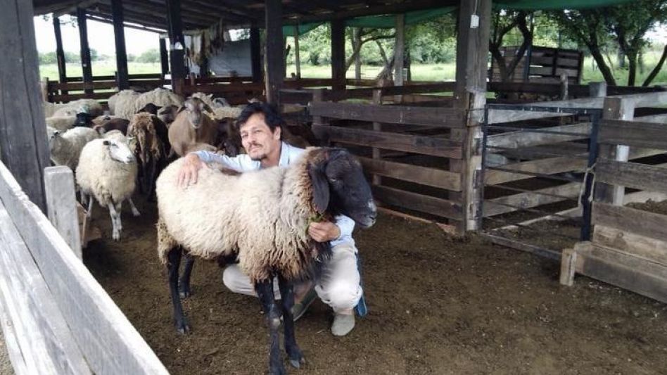Daniel Romero, referente de la Mesa Ovina en Coninagro a nivel nacional.