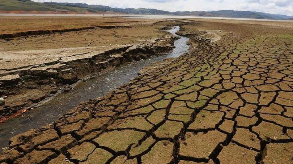Un hito sobre agricultura   sostenible y salud del suelo