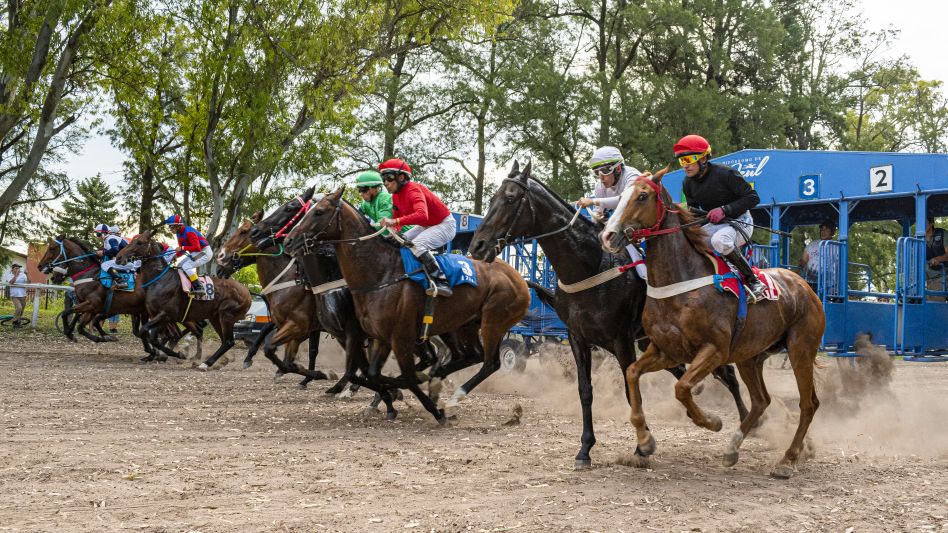 El domingo en el circo hípico local se realizó la primera reunión de la temporada con la organización del Jockey Club Azul. Foto: ARCHIVO