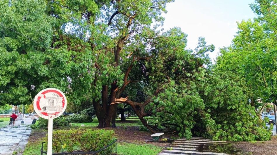 El temporal de viento, lluvia y granizo que azotó Miramar provocó la muerte de un joven de 18 años