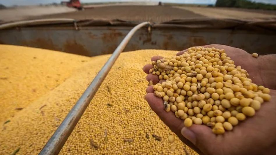 Entidades del campo en contra de los cambios en la ley de semillas