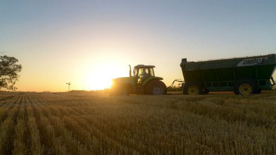 Argentina exportará por   primera vez trigo a China
