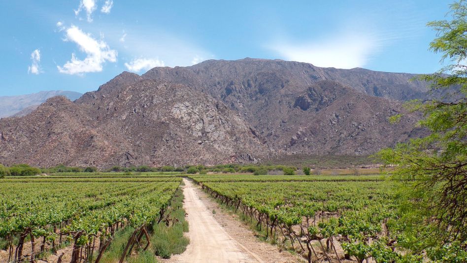 La Justicia suspendió la derogación de la Ley de Tierras del mega DNU