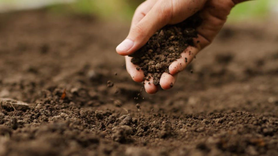 Distintas agencias de extensión del INTA Rafaela Santa Fe trabajan con estrategias de producción no convencionales, buscando dar respuesta a la diversidad productiva.