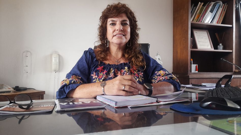 Karina Watralik habló con diario EL TIEMPO sobre la invasión de mosquitos y sobre las acciones sanitarias para evitar brotes de Dengue y de Encefalomielitis Equina del Oeste.  ARCHIVO/EL TIEMPO