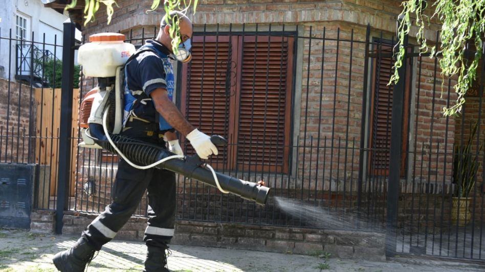 Mosquitos: por qué no siempre se recomienda fumigar y cuáles son las pautas para control del vector