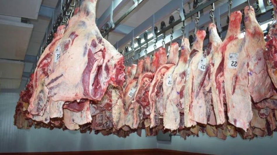 Creció más del 8% la faena en enero de 2024 
