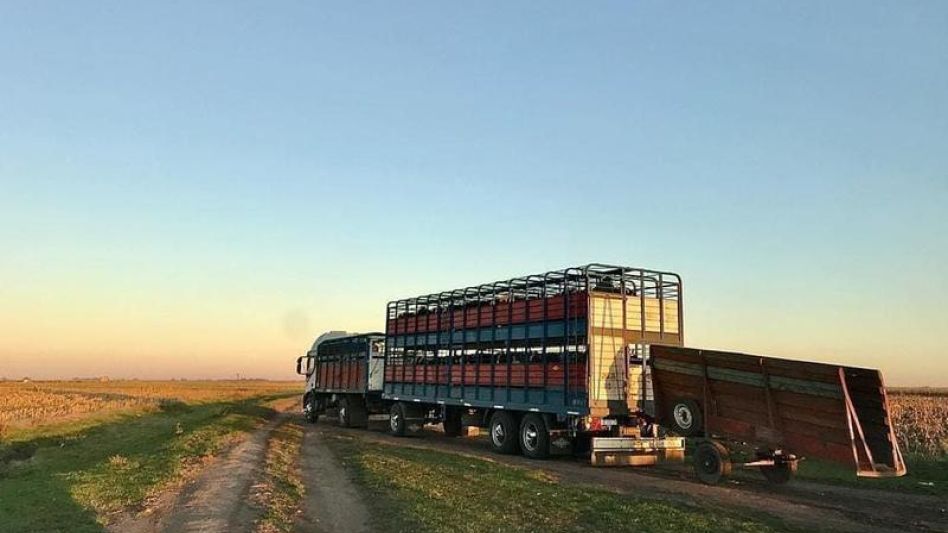GENTILEZA LA HERRADURA  