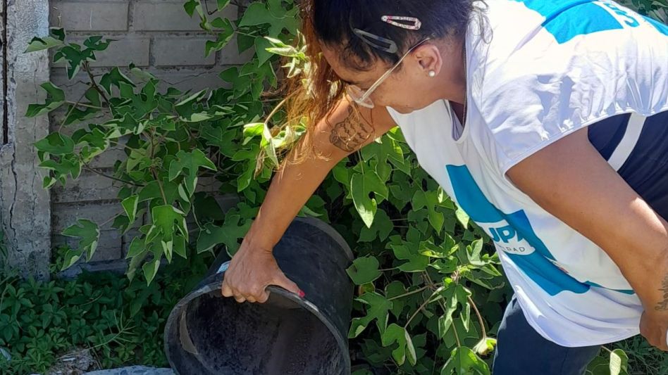 Dengue: son 31 los municipios en brote y los casos aumentaron un 76% en una semana