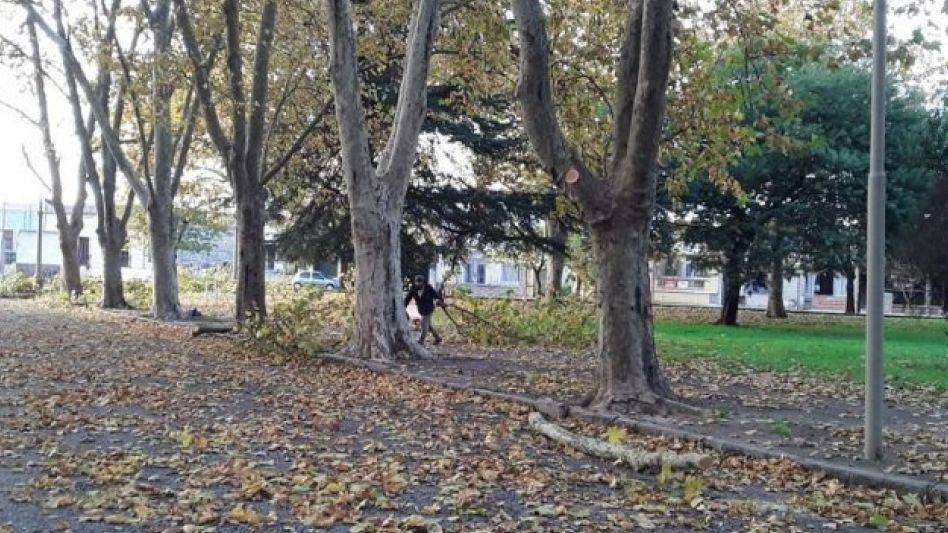 La actividad incluirá el reconocimiento y la recolección de semillas y una mateada.