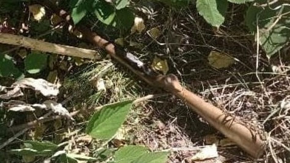 La carabina empleada en el hecho había sido incautada. FOTO: POLICÍA COMUNAL TAPALQUÉ