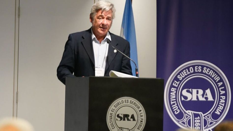 Nicolas Pino, presidente de la Sociedad Rural.