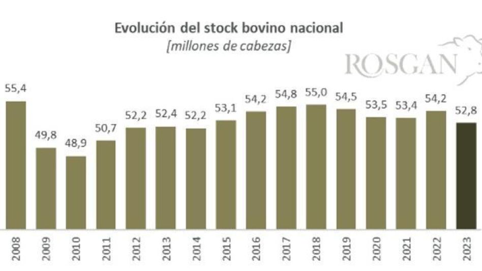 De acuerdo a Rosgan, cómo fue la evolución del stock bovino nacional entre los años 2007 y 2023.