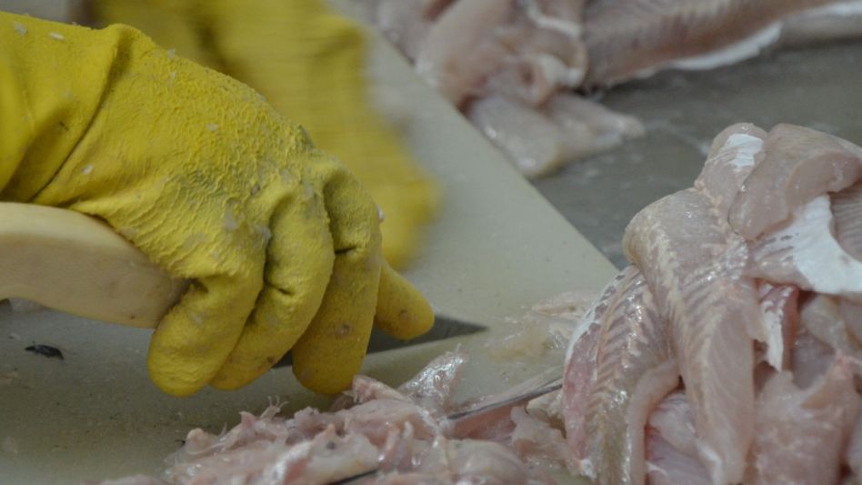 El Senasa difundió información para tener en cuenta a la hora de comprar y comer pescado en esta Semana Santa.  SENASA