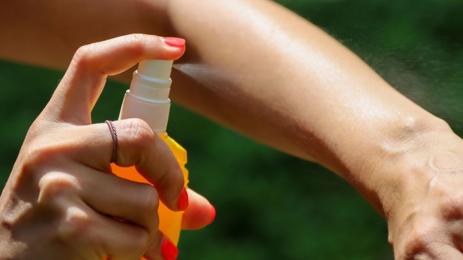 Dengue: dónde es más efectivo colocarse repelente y en qué horarios pica el mosquito Aedes aegypti
