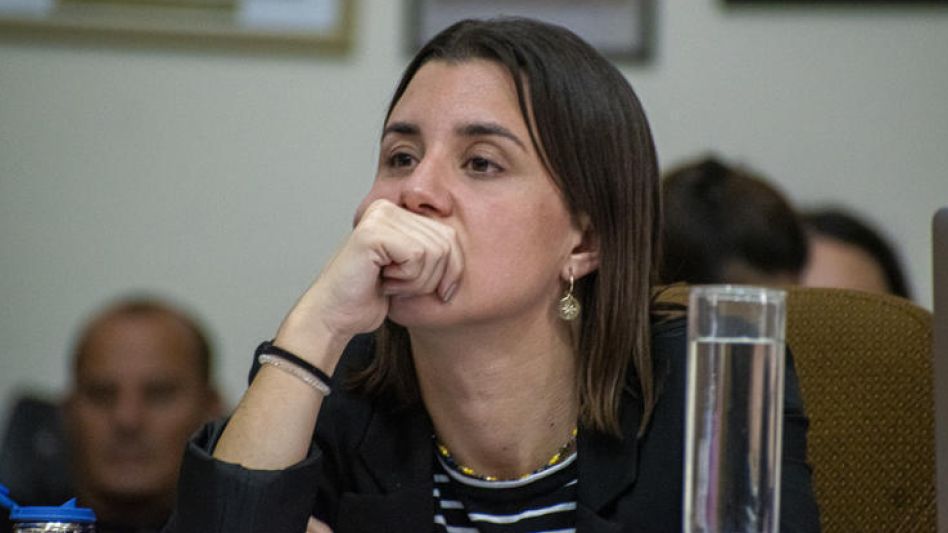 Concejal Consuelo Burgos: Creemos que es importante reflotar la discusión teniendo en cuenta el cambio de gestión.  NACHO CORREA