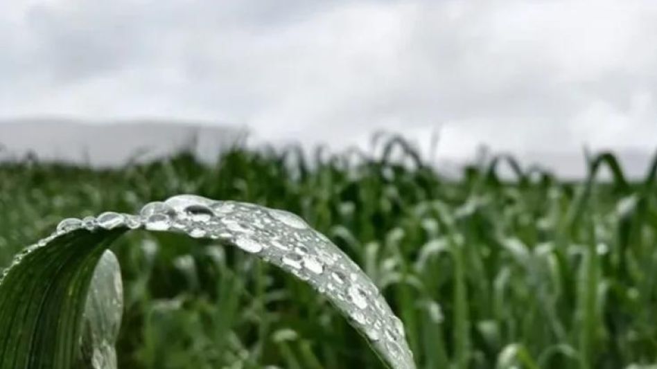 Se afirma que la transición del evento El Niño a condiciones Neutrales en el invierno, provocará variaciones en la dinámica de las lluvias en los próximos tres meses.