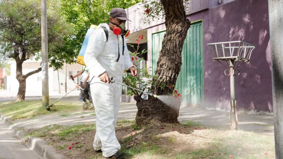 Los casos de dengue superan los 78 mil en la provincia y hay 56 municipios en brote