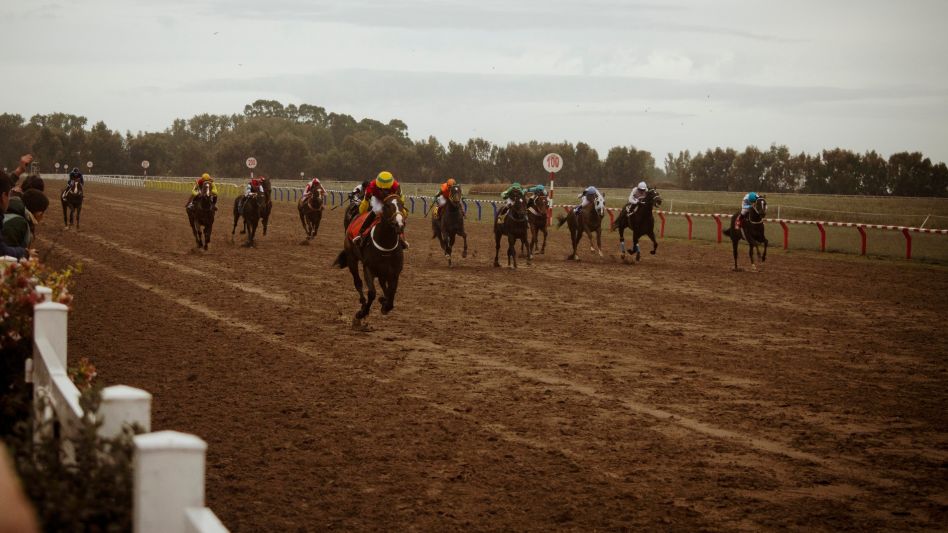 Un total de 127 caballos pura sangre se inscribieron para participar, el próximo domingo, en la quinta reunión del año en el circo hípico local. 