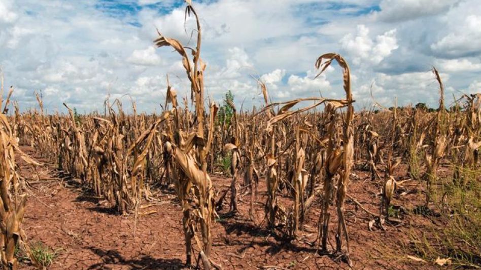 Malestar entre los productores porque Milei   no homologa las emergencias agropecuarias