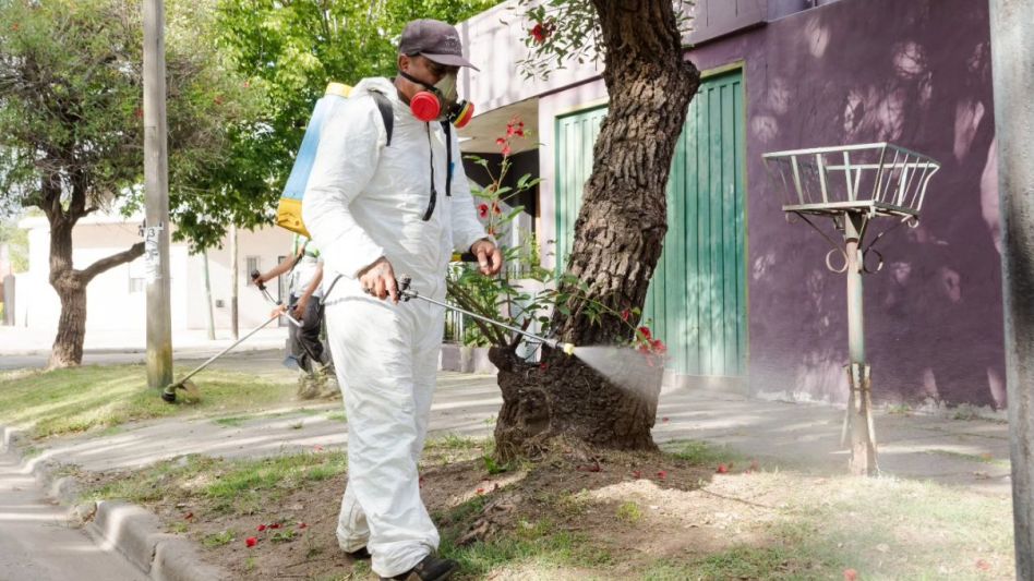 Dengue: el Gobierno empezará a vacunar en zonas endémicas del país