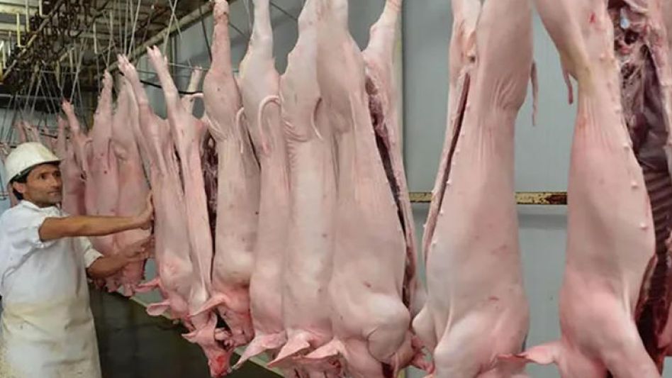 Nace un nuevo mercado para   la carne de porcino argentino 