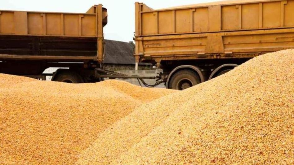 El precio del trigo continúa en alza en Chicago