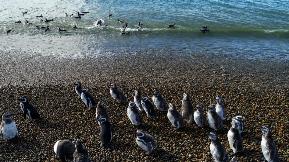 Monte León: un parque que atrapa por su naturaleza patagónica