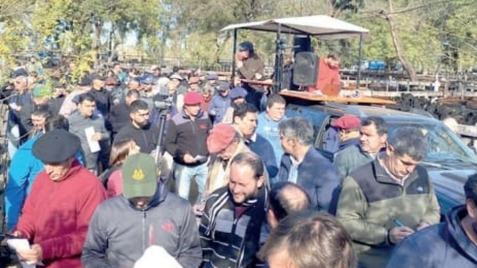 Más de 300 personas en el histórico remate de Wallace SA.