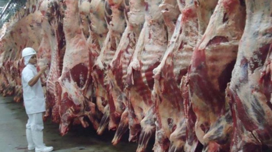 Decreció la faena de  novillos en el primer cuatrimestre del año  