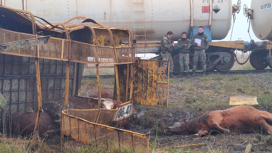 El siniestro vial se produjo en el ?Camino a la Liebre?, en cercanías de la Ruta 51. FOTO: CPR AZUL/PBA