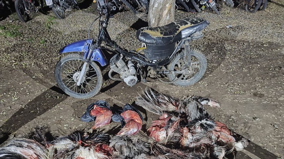 La moto, los alones y cuartos de ñandú que efectivos de seguridad incautaron. CPR AZUL/PBA