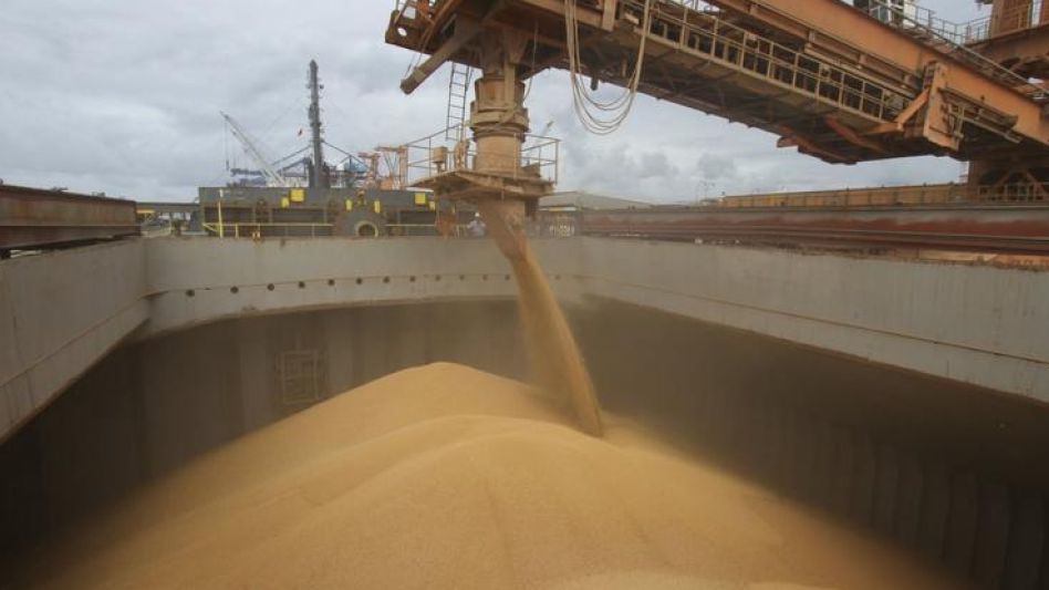 La industria aceitera tuvo "el peor   momento en los últimos doce años"