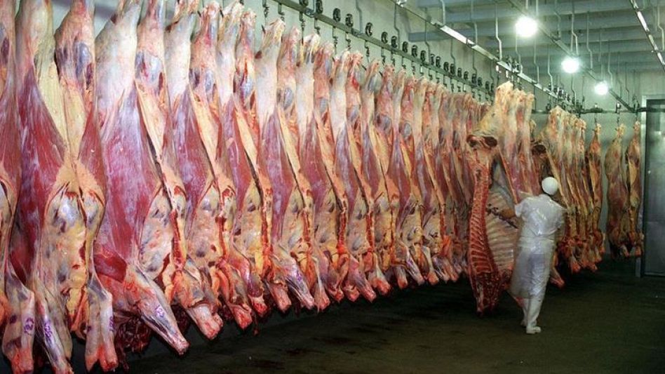 La faena del quinto mes del año 2024 se ubicó en aproximadamente 1,168 millones de cabezas de ganado bovino procesadas.