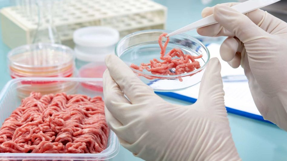 Triquinosis: se registraron cuatro brotes en la provincia en lo que va del año