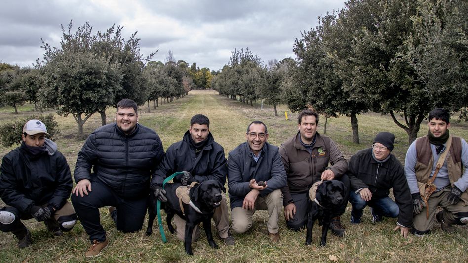 El intendente Sombra recorrió la plantación de trufas La Esperanza