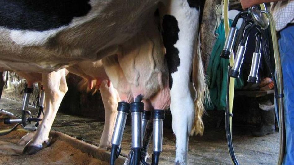 El gobierno busca generar herramientas que posibiliten aumentar la producción lechera.